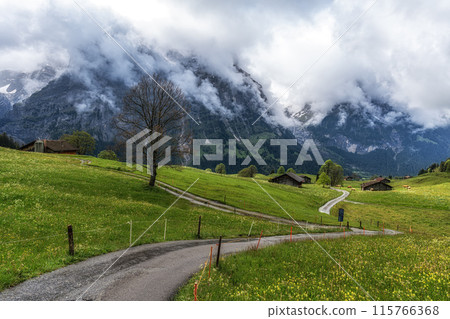 Small road in Grindelwald 115766368