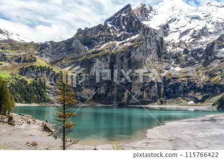 Oeschinensee Lake View Oeschinensee Lake View 115766422