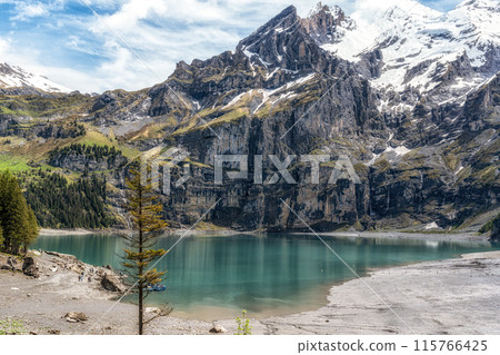 Oeschinensee Lake View Oeschinensee Lake View 115766425