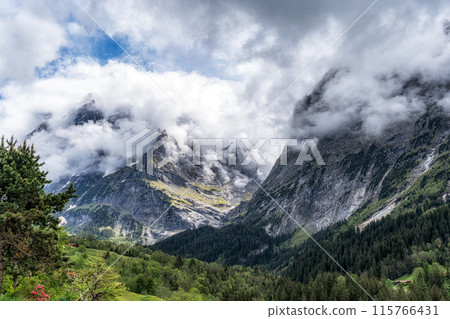 Alpine mountain tops in Grindelwald Alpine mountain tops in Grindelwald 115766431