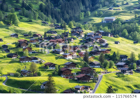 Grindelwald valley town 115766574