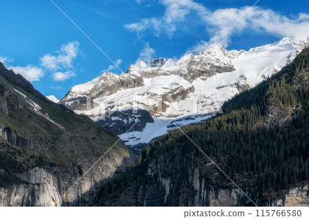 Bernese alps viewed from Grindelwald Bernese alps viewed from Grindelwald 115766580