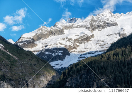 Bernese alps viewed from Grindelwald Bernese alps viewed from Grindelwald 115766667