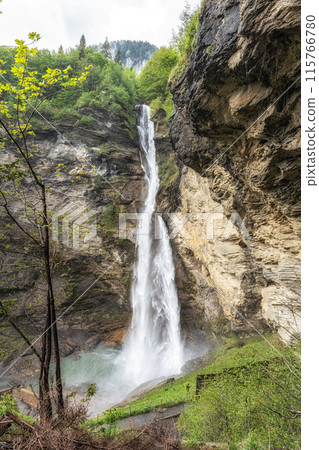 Swiss Reichenbach falls Swiss Reichenbach falls 115766780