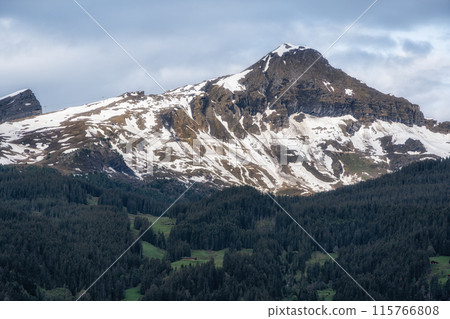 Bernese alps viewed from Grindelwald Bernese alps viewed from Grindelwald 115766808