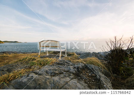 Empty bench by summer beach in the park 115766842