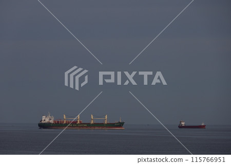 Container ships in the Black Sea, bay of Varna 115766951
