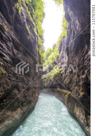 Aare Gorge in Switzerland 115767081