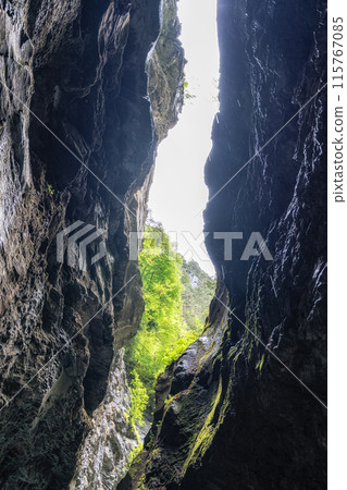 Aare Gorge in Switzerland Aare Gorge in Switzerland 115767085