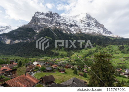 Eiger Mountain View Eiger Mountain View 115767091