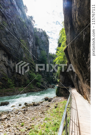 Aare Gorge in Switzerland 115767111