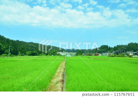 從JR東日本越後線刈輪站到寺泊站的車窗看到的景色(2022年夏季) 從JR東日本越後線刈輪站到寺泊站的車窗看到的景色(2022年夏季) 115767651