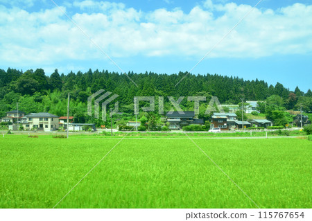 從JR東日本越後線刈輪站到寺泊站的車窗看到的景色(2022年夏季) 從JR東日本越後線刈輪站到寺泊站的車窗看到的景色(2022年夏季) 115767654