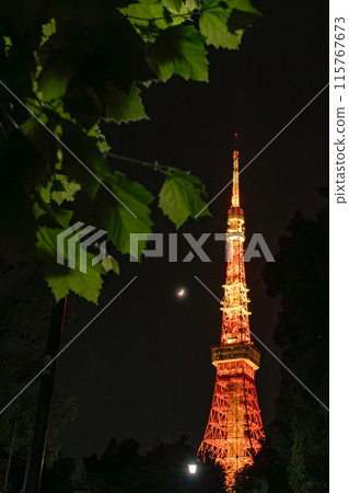 新月和東京鐵塔 - 朦朧的月亮夜景 - 東京都港區芝公園 - 115767673