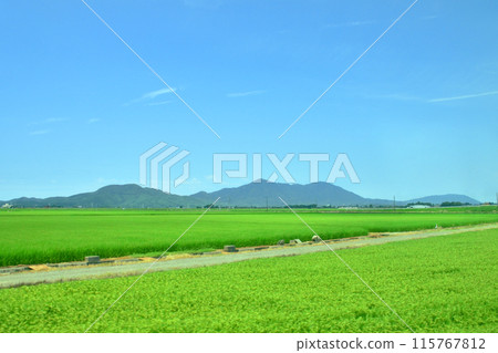 View from the train window from Teradomari Station to Yoshida Station on the JR East Echigo Line (Summer 2022) 115767812