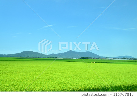 View from the train window from Teradomari Station to Yoshida Station on the JR East Echigo Line (Summer 2022) View from the train window from Teradomari Station to Yoshida Station on the JR East Echigo Line (Summer 2022) 115767813