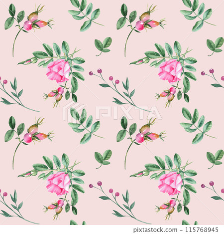 Dog rose Floral Watercolor seamless pattern on pink background. Hand drawn botanical illustration. Rose hip flowers, buds, branches and berries. Can be used for fabric, textile, packaging prints Dog rose Floral Watercolor seamless pattern on pink background. Hand drawn botanical illustration. Rose hip flowers, buds, branches and berries. Can be used for fabric, textile, packaging prints 115768945