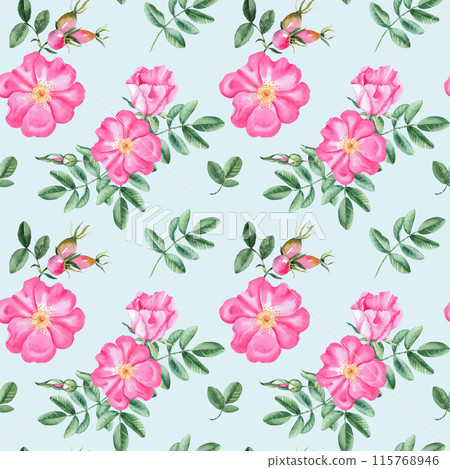 Dog rose Floral Watercolor seamless pattern on blue background. Hand drawn botanical illustration. Rose hip flowers, buds, branches and berries. Can be used for fabric, textile, packaging prints Dog rose Floral Watercolor seamless pattern on blue background. Hand drawn botanical illustration. Rose hip flowers, buds, branches and berries. Can be used for fabric, textile, packaging prints 115768946