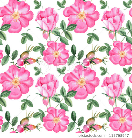 Dog rose Floral Watercolor seamless pattern on white background. Hand drawn botanical illustration. Rose hip flowers, buds, branches and berries. Can be used for fabric, textile, packaging prints Dog rose Floral Watercolor seamless pattern on white background. Hand drawn botanical illustration. Rose hip flowers, buds, branches and berries. Can be used for fabric, textile, packaging prints 115768947