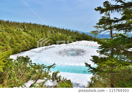 Awakened Dragon Eye, Akita Awakened Dragon Eye, Akita 115769303