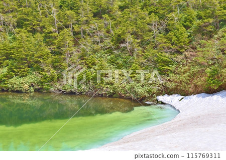 Emerald green glasses swamp in Akita 115769311