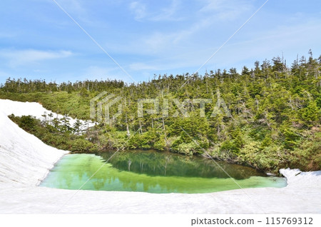 翠綠梅甘娜沼澤秋田 翠綠梅甘娜沼澤秋田 115769312