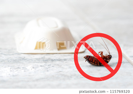 Anti cockroach, pest control concept. Stop insects sign. Cockroach with caution sign, pest control in red forbidding circle Anti cockroach, pest control concept. Stop insects sign. Cockroach with caution sign, pest control in red forbidding circle 115769320