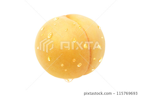 Golden peach illustration, realistic, white background 115769693