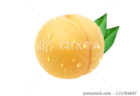 金桃插畫現實白色背景 金桃插畫現實白色背景 115769697