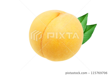 金桃插畫現實白色背景 115769706