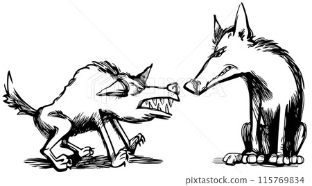 two angry wolves grinding their teeth drawing illustration two angry wolves grinding their teeth drawing illustration 115769834