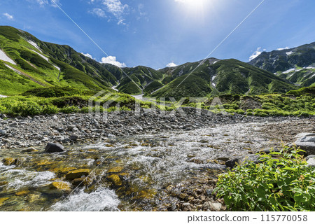 從富山縣立山町雷鳥澤露營地眺望正馬川和立山連峰 從富山縣立山町雷鳥澤露營地眺望正馬川和立山連峰 115770058