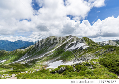 Hiking trail leading to Tsurugisawa Campsite, Tateyama Town, Toyama Prefecture 115770127