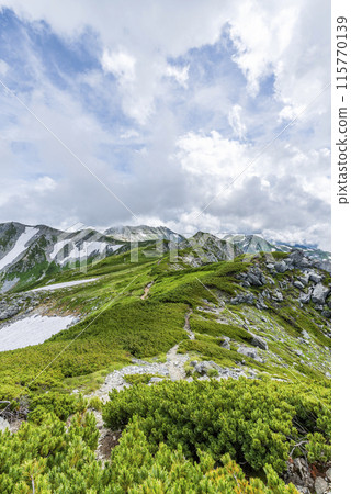 The hiking trail from Tsurugi-Gozen to Tsurugi-Gozen hut in Tateyama Town, Toyama Prefecture 115770139