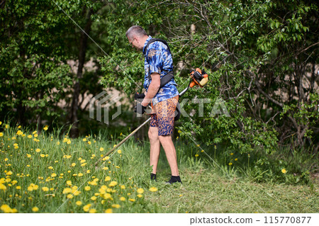 Tall man in Hawaiian Shirt and shorts cuts weeds with string trimmer on his suburban property. 115770877