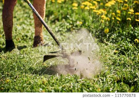 Line trimmer drum head came into contact with molehills, causing cloud of dust over lawn. Line trimmer drum head came into contact with molehills, causing cloud of dust over lawn. 115770878