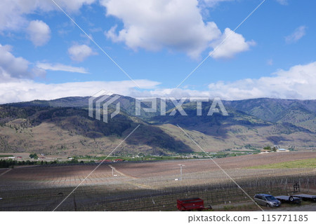 加拿大奧肯那根地區酒莊 115771185