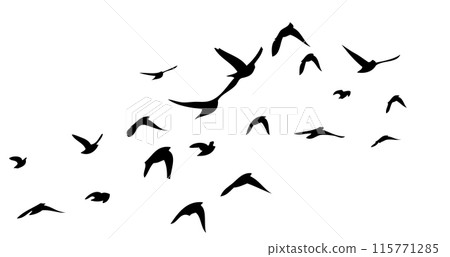 Flying birds silhouette flock. hand drawing. Not AI, Vector illustration Flying birds silhouette flock. hand drawing. Not AI, Vector illustration 115771285