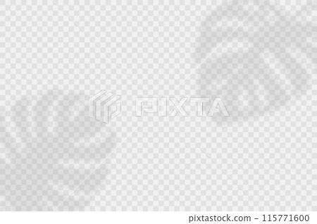 Vector Transparent Shadow Effects. Tropical Leaves, Mpnstera Leaves Shadow Overlay Horizontal Background. Shadow Overlays on Transparent Background Vector Transparent Shadow Effects. Tropical Leaves, Mpnstera Leaves Shadow Overlay Horizontal Background. Shadow Overlays on Transparent Background 115771600