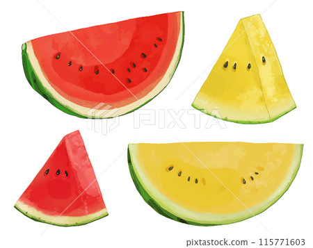 Watercolor watermelon Watercolor watermelon 115771603