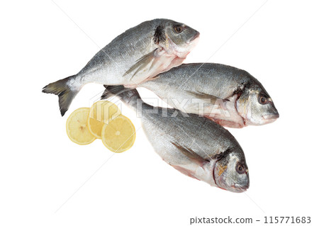 Three raw scrubbed fish and lemon circles on white background. Three raw scrubbed fish and lemon circles on white background. 115771683