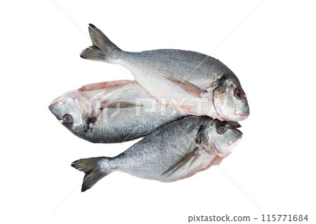 Top view of three raw scrubbed fish ready to cook on white background. 115771684