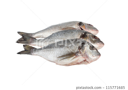 Three raw scrubbed fish ready to cook on white background. Three raw scrubbed fish ready to cook on white background. 115771685