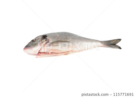 Ready to cook cleaned dorado fish on white background. Ready to cook cleaned dorado fish on white background. 115771691