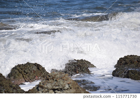 山形縣莊內海岸的日本海波濤洶湧 115771730