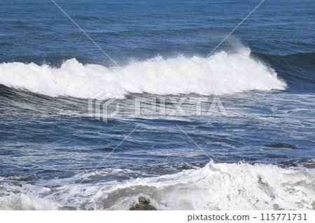 Rough waves of the Sea of Japan, Shonai Coast, Yamagata Prefecture 115771731
