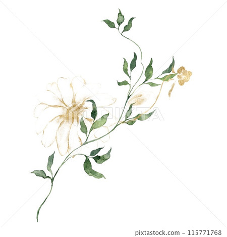 Watercolor floral card featuring golden flowers, bedstraw and buds. Hand-drawn composition of a plant bouquet on a white background. An outdoor illustration for design, printing or fabric background. Watercolor floral card featuring golden flowers, bedstraw and buds. Hand-drawn composition of a plant bouquet on a white background. An outdoor illustration for design, printing or fabric background. 115771768
