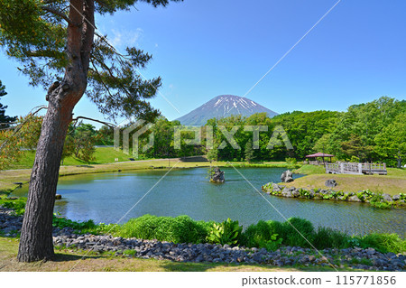 京極町、新綠演講公園、蝦夷富士、羊蹄山 115771856