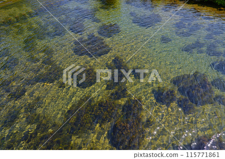 Kyogokucho, Fukidashi Park with Fresh Greenery, Top 100 Water Sources Kyogokucho, Fukidashi Park with Fresh Greenery, Top 100 Water Sources 115771861