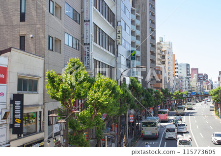 荻窪附近的青梅街道 荻窪附近的青梅街道 115773605